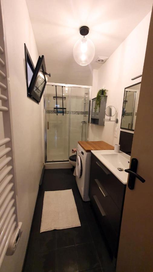 Hypercentre, Grand Traversant De 47m2 Apartment